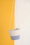 Fruit Pastilles Hanging Planter Basket - Yellow Small