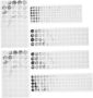 Aluminium Foil Sealing Stickers For Toothpaste Cosmetics Pack Of 6
