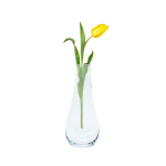 Teardrop Bud Vase 24CM H X 4CM W