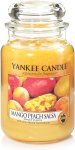 Candle Mango Peach Salsa Large Jar Retail Box No Warranty