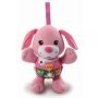 Vtech Little Friendlies Singing Puppy Pink