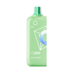 EW16000 50MG Pod Black Mint No Battery