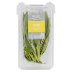 Pnp Sage 20G
