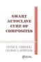 Smart Autoclave Cure Of Composites   Paperback