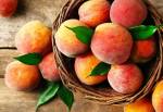 Peach Concentrate - 50ML