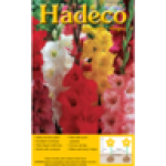 Summer Magic Mixed Colours Gladiolus Bulbs 25-PACK