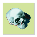 Pop Skull 5 Art Print - A1