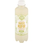 Water Kefir 330ML - Apple Ginger