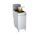 Fish Fryer - 1 X 20LT - Gas - FFA3200