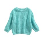 Teal Casual Knitted Jersey