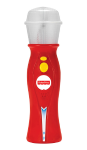 Sing Along Microphone