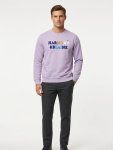 Mens Sweatshirt In Purple - Purple 3XL