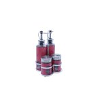 4 Piece Powder Coated Red Stainless Steel With Glass Cruet Set SGN460