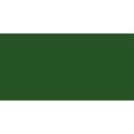 Caran D& 39 Ache Pablo Coloured Pencil - Dark Green 229
