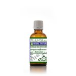 Astragalus Membranaceus Extract - 50 Ml
