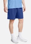 Under Armour Ua Woven Wordmark Shorts - Tech Blue & Horizon Blue