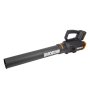 Turbine Leaf Blower 20V 2 Speed 1 X 2 0AH Battery & Charger