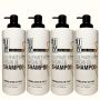 Lily Sulphate-free Moisturising Shampoo For Dry And Frizzy 1000ML 4 Pack