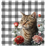 FSC2384 Printed Blanket Assorted