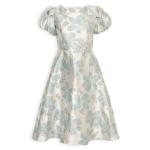 Blue Brocade Dress