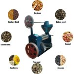 Cold Oil Press Machine