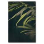 Dark Foliage 2 Art Print - 100CM X 150CM No Frame Print Only