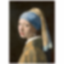 FSC0006 Printed Wall Hanging Prints Girl With Pearl Earring