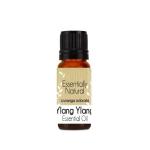 Ylang Ylang Essential Oil - Standardised - 1L