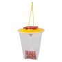 Redtop Standard Fly Catcher Reusable