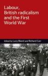 Labour British Radicalism And The First World War Hardcover
