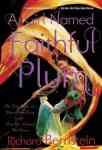 A Girl Named Faithful Plum - Richard Bernstein Paperback