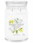 Yankee Candle Signature Collection Midnight Jasmine Large