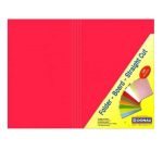 Manilla Folder 100 Donau Br pink