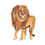 Animal Nursery 7 Art Print