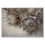 Everlasting 5 Art Print - A4 No Frame Print Only