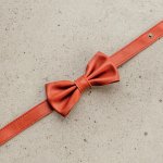 Bow Tie
