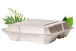 Biodegradable 1000ML Single Division Meal Box – Bagasse