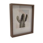 Medium Cactus Image Dark Brown Photoframe