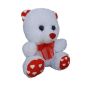 Valentines Day Anniversary Birthday Romantic Gifting 22 Cm Teddy Bear