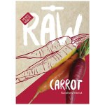 Carrot Rainbow Blend Seeds