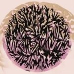 Memory Painting Cd