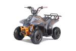 New Rock 2025 110CC 4 Stroke Quad With Remote Start + Reverse - Tao Motor - Small Unit For 6-10 Years - Grey &
