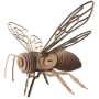 - 3D Wooden Models - 3D Puzzle - Insect Western Honey Bee