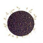 Elderberries - 100G