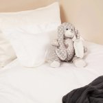 500TC Baby Cot Duvet Set With Oxford Edging