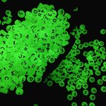 100PCS PACK 4X7MM Acrylic Beads Glow In The Dark Beads Luminous Beads Round Loose Beads For Diy Jewelry Bracelet Bead Making Acc