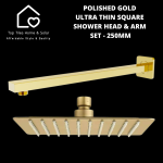 Polished Gold Ultra Thin Square Shower Head & Arm Set - 250MM