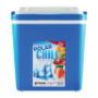 Blue Polar Chill Cooler Box 22L