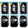 Dunlop Atp Championship Extra Duty Sea Level 3 Pet Tennis Balls