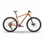 Rogue Cruz Copper Flash '27 - XL
